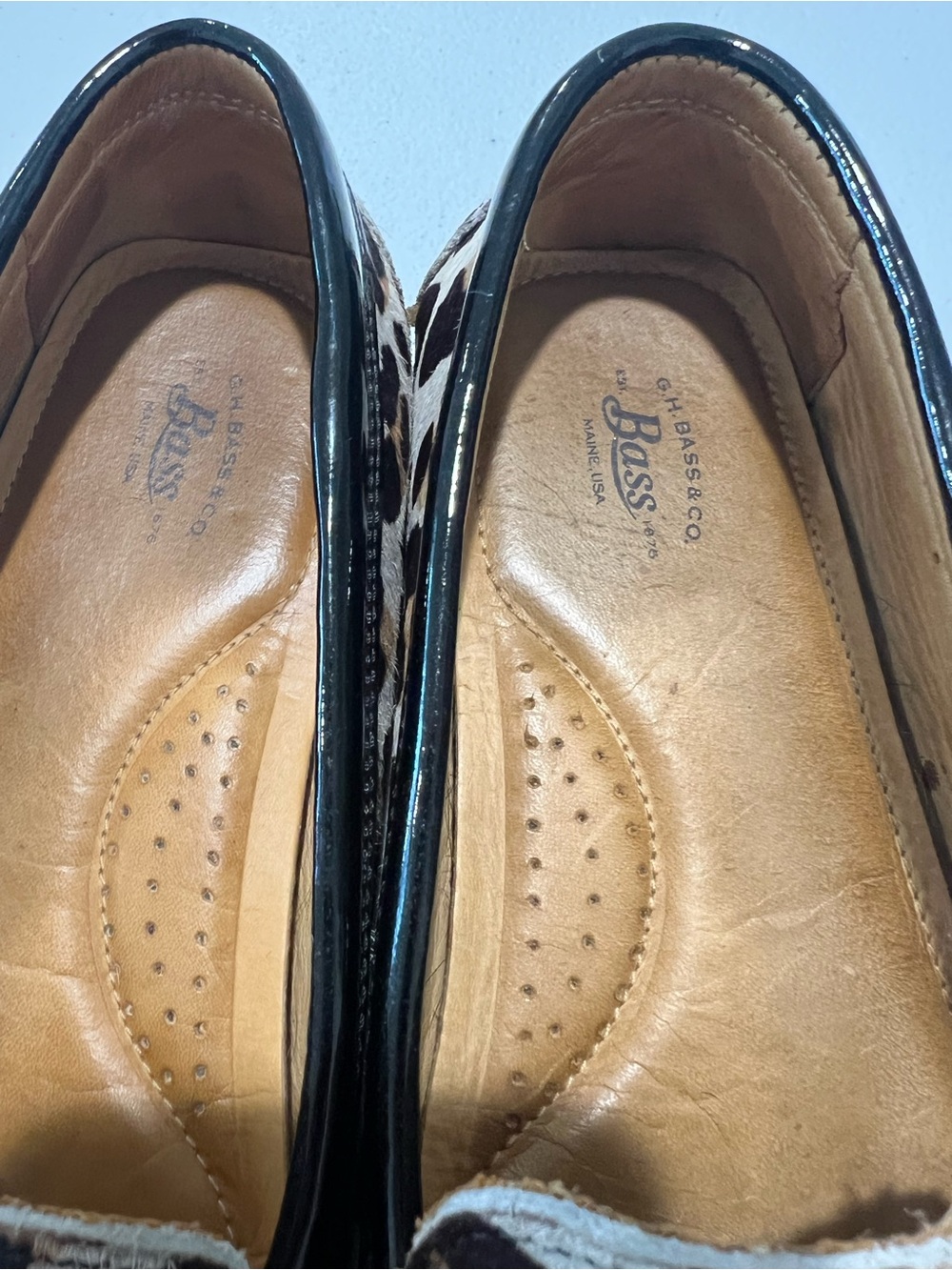Bass Leopard Print Penny Loafers with Black Trim 8.5 - Picture 3 of 7